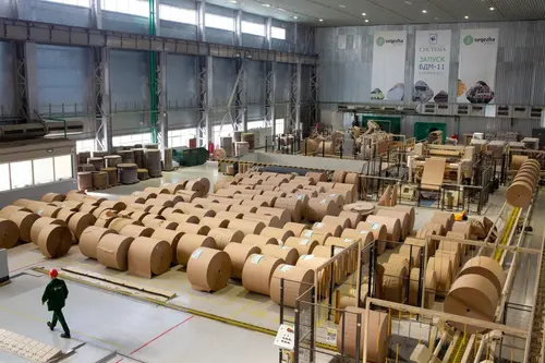 АО «Сокольский ЦБК» (Группа Сегежа)